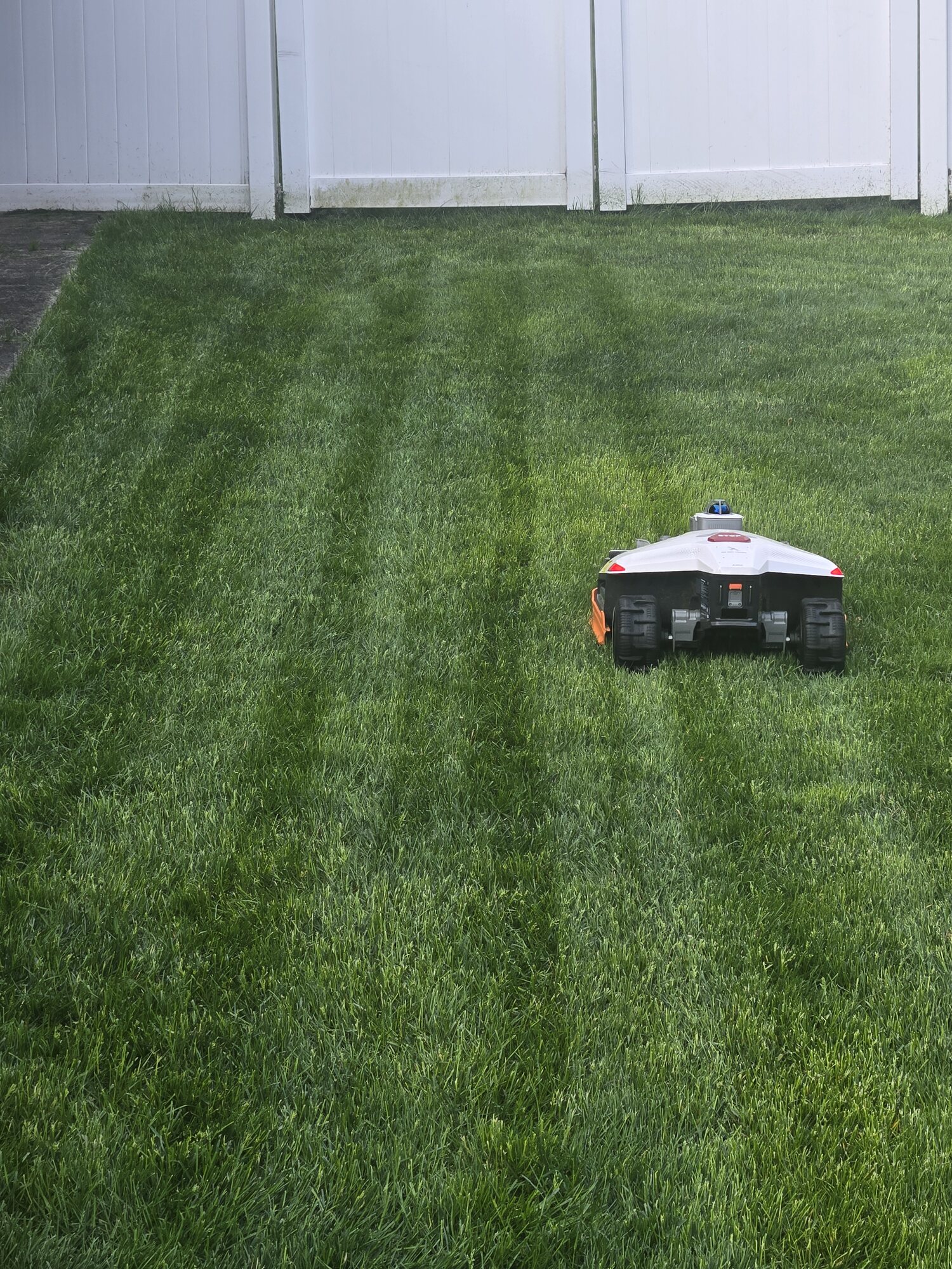 Our Mammotion robot mower cutting the lawn in clean stripes